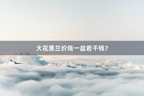 大花蕙兰价钱一盆若干钱？